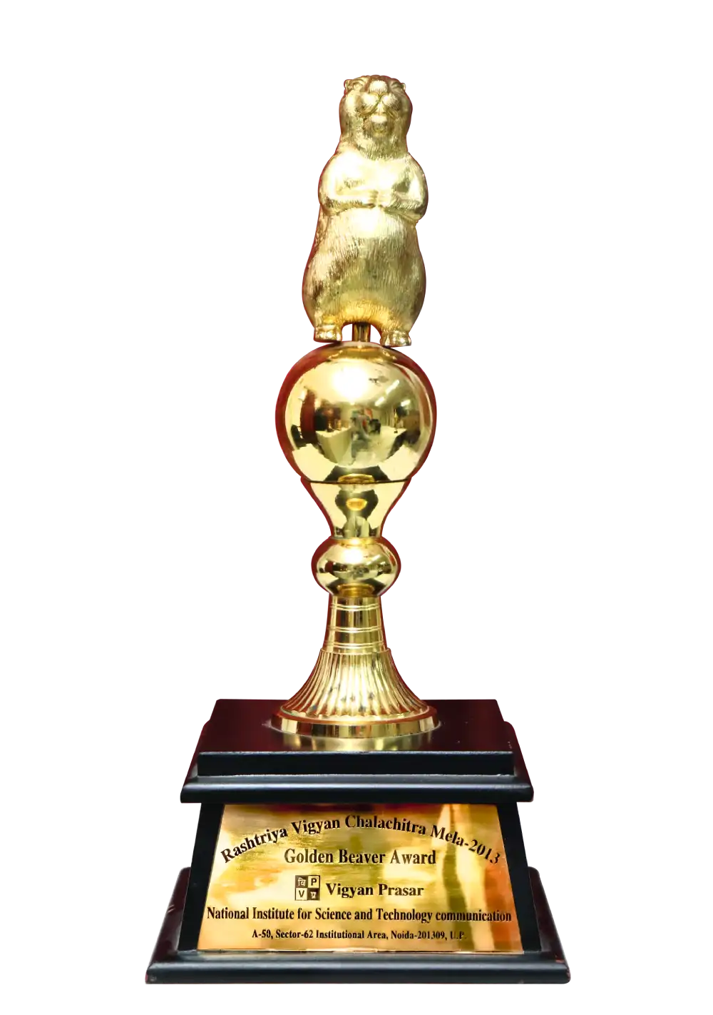 Golden Beaver Award - 2013