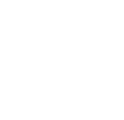 Vray