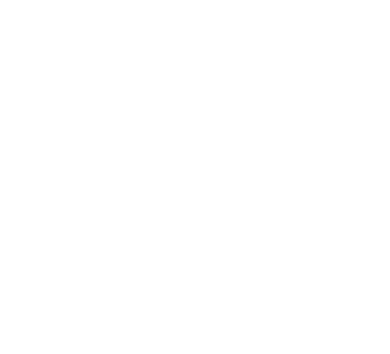 Z-Brush
